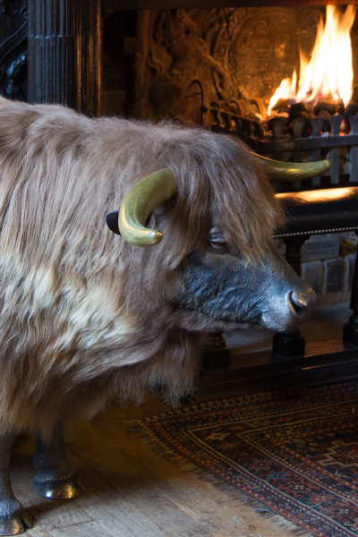 Highland Cattle Sculpture